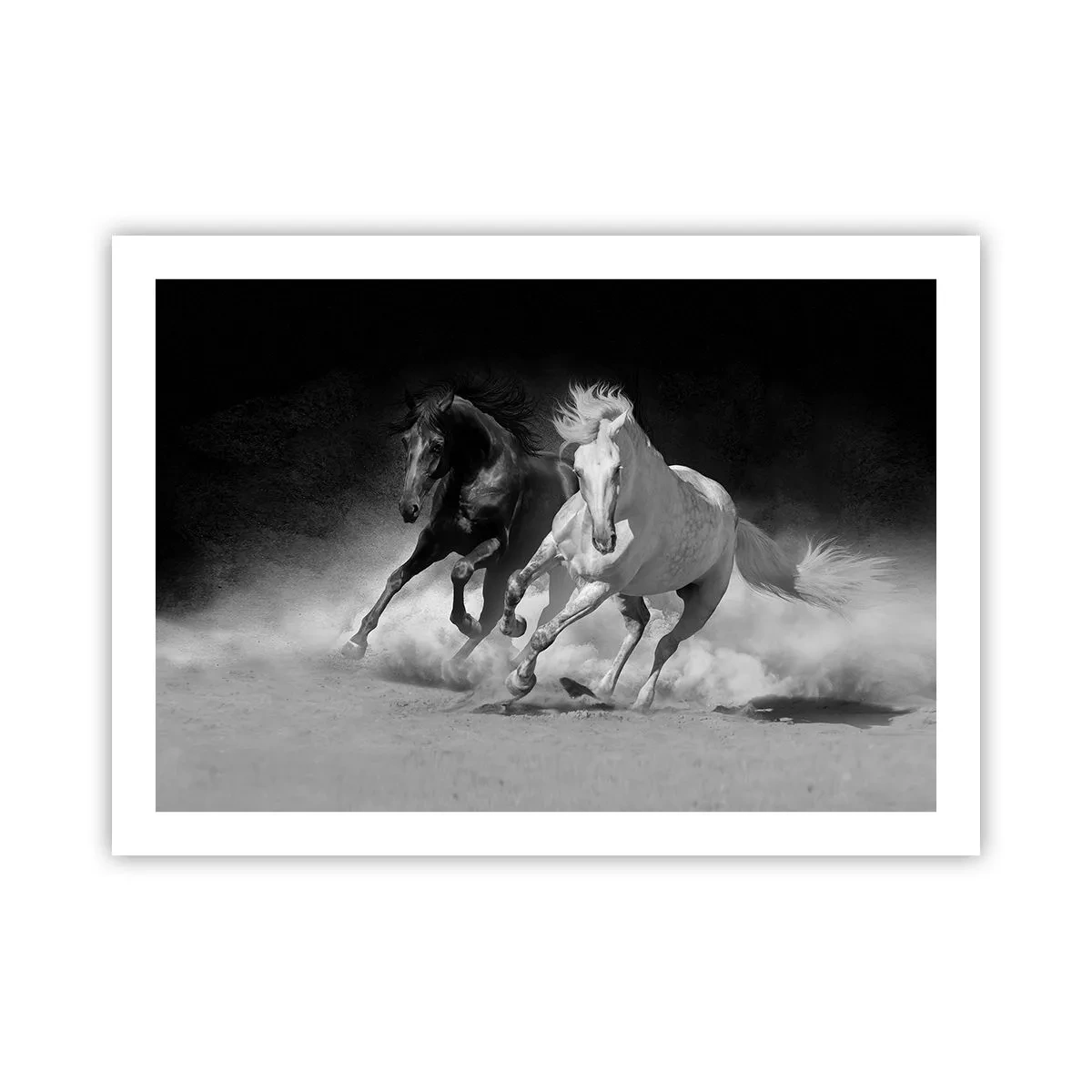 Poster - Il galoppo della libertà - 70x50 cm