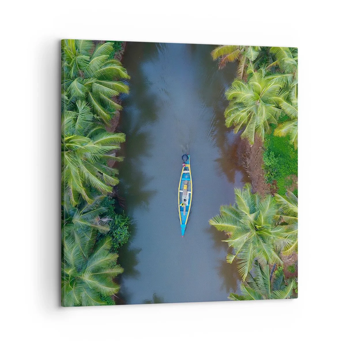 Quadro su tela - Stampe su Tela - Sul percorso tropicale - 50x50 cm