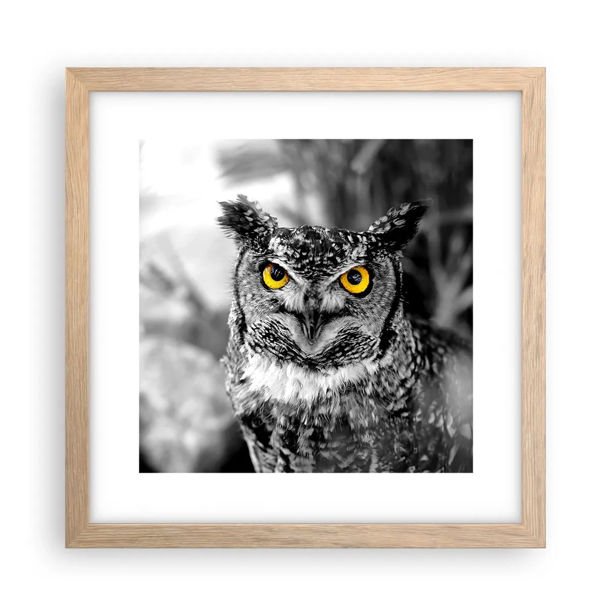 Poster in cornice rovere chiaro - Non si può nascondere niente - 30x30 cm