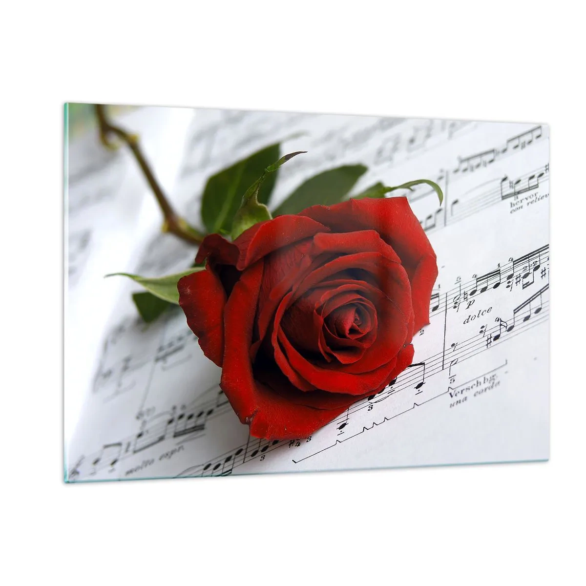 Quadro su vetro - Una rosa rossa su uno sfondo di note musicali - 120x80cm - La musica dei sentimenti in scarlatto - Decorazione murale moderna per soggiorno e camera da letto ARTTOR