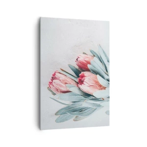 Quadro su tela - Stampe su Tela - Delicati fiori di protea rosa su uno sfondo chiaro - 70x100cm - Imbarazzati per la propria bellezza - Decorazione murale moderna per soggiorno e camera da letto ARTTOR