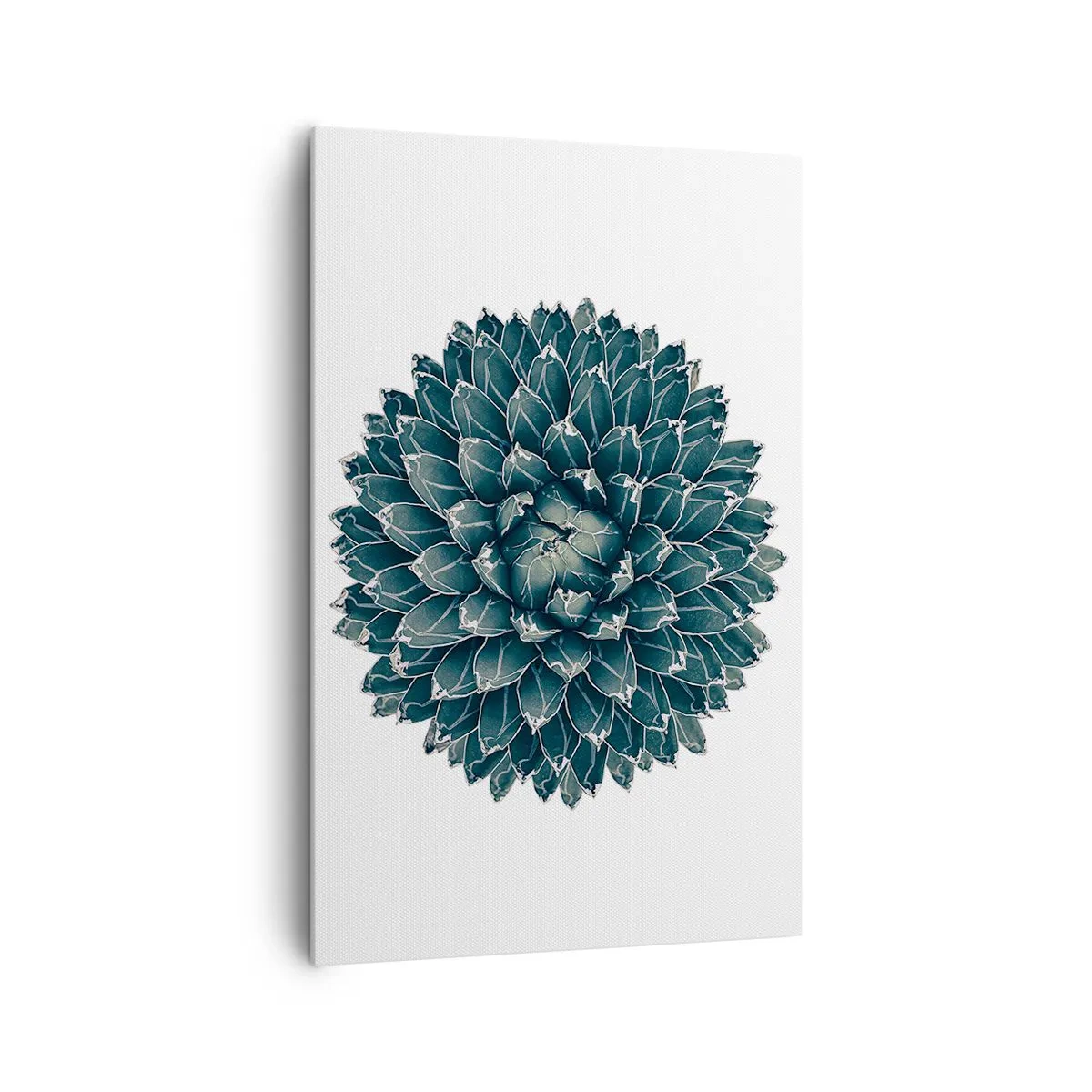 Quadro su tela - Stampe su Tela - Pianta succulenta simmetrica su sfondo bianco - 80x120cm - La stella del deserto - Decorazione murale moderna per soggiorno e camera da letto ARTTOR