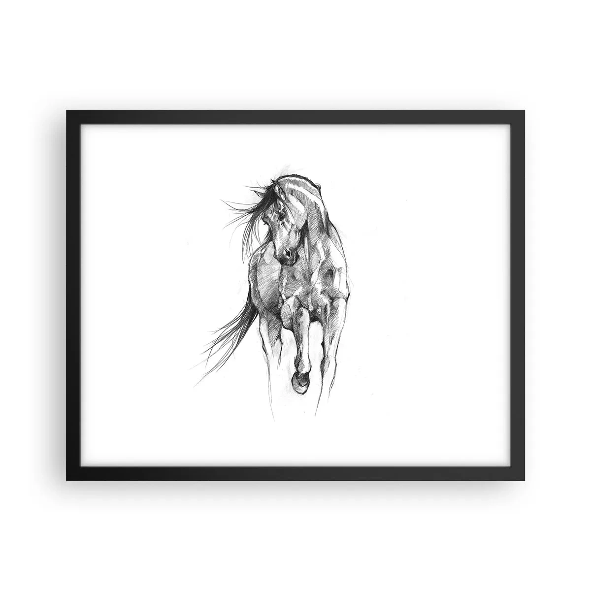 Poster in cornice nera - Trotto aggraziato - 50x40 cm