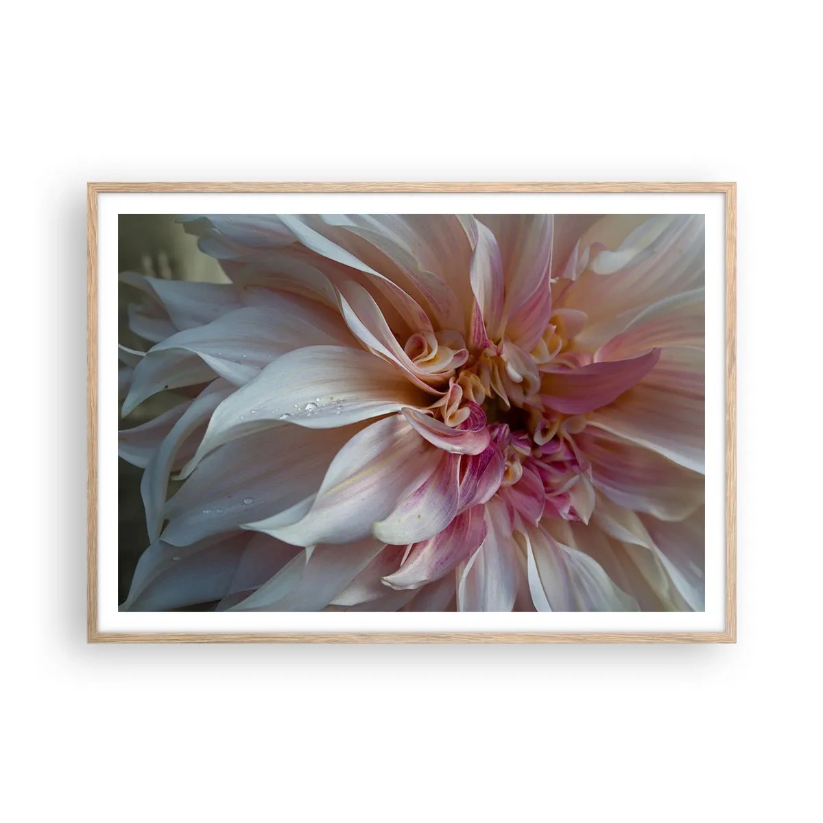 Poster in cornice rovere chiaro - Freschezza in fiore - 100x70 cm