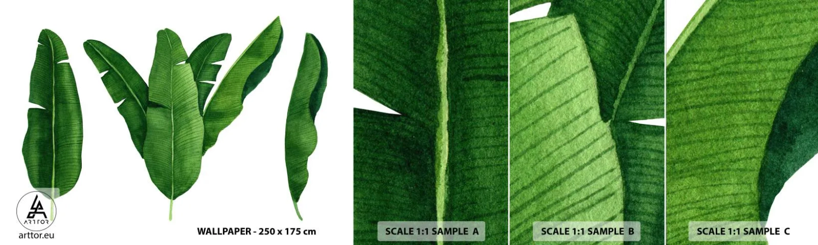 Campione di Fotomurale Adesivo Deluxe Sticker - Simmetria verde - Foglia di banana, Tropicale, Stile botanico - 100x30 cm