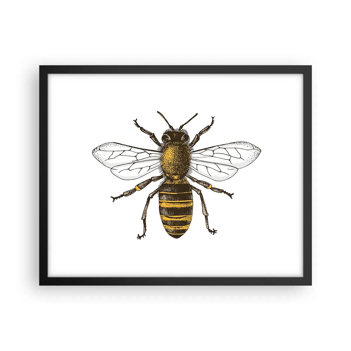 Poster in cornice nera - Bella e buona - 50x40 cm