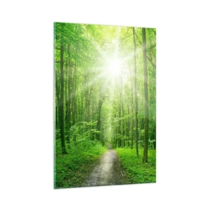 Quadro su vetro - Sentiero nel bosco con raggi di sole - 80x120cm - Cattedrale verde - Decorazione murale moderna per soggiorno e camera da letto ARTTOR