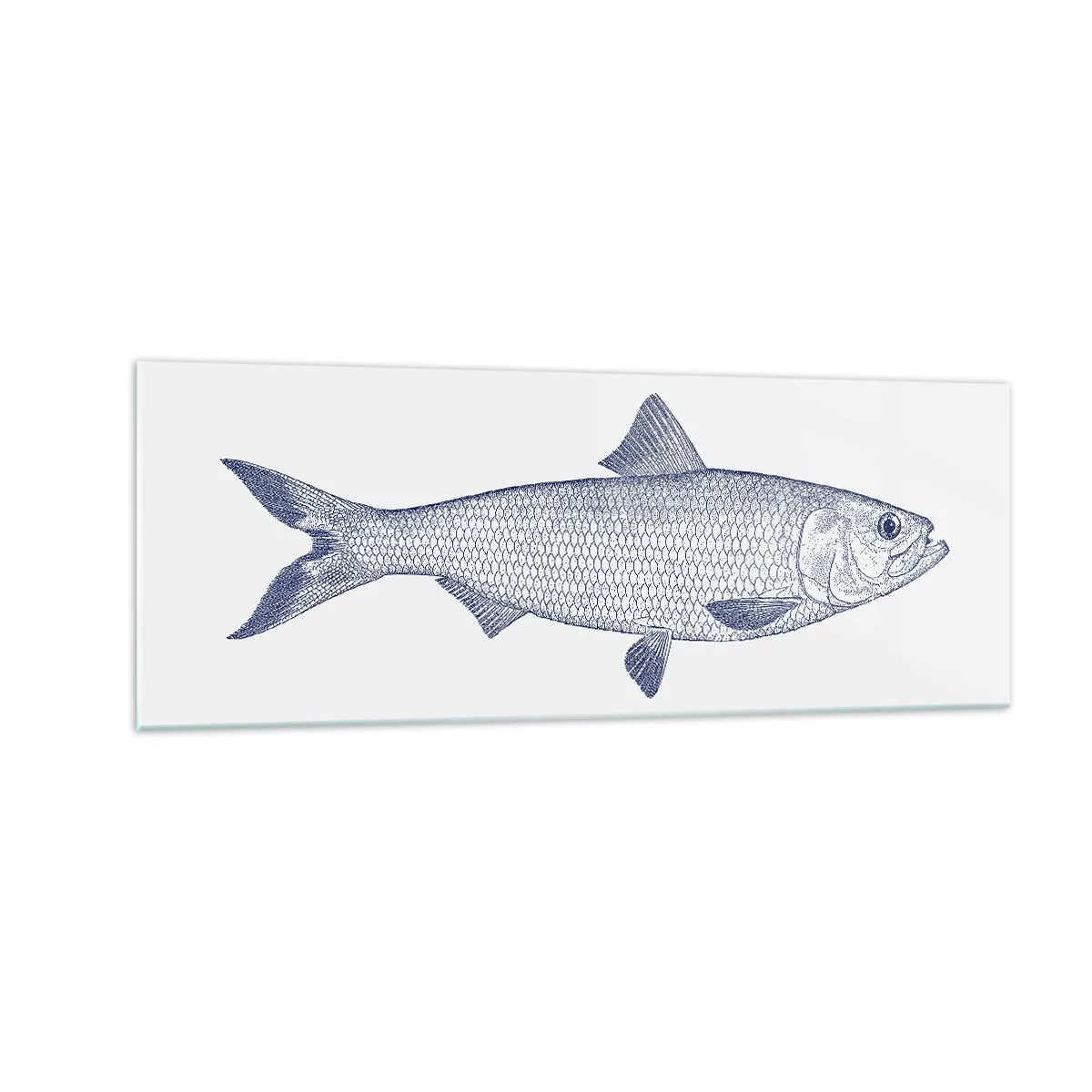 Quadro su vetro - Illustrazione di un pesce nei toni del blu su uno sfondo chiaro - 140x50cm - Un saluto dai mari del nord - Decorazione murale moderna per soggiorno e camera da letto ARTTOR