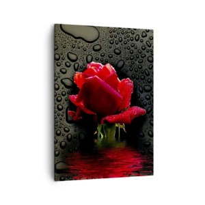 Quadro su tela - Stampe su Tela - Rosa rossa con gocce d'acqua su sfondo scuro - 50x70cm - Rosso e nero - Decorazione murale moderna per soggiorno e camera da letto ARTTOR