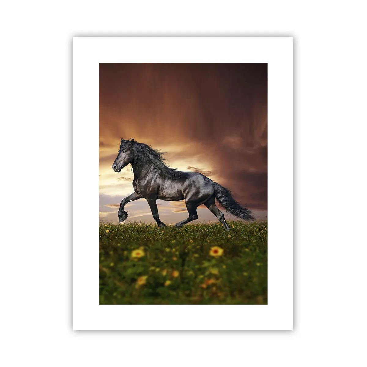 Poster - Il principe nero - 30x40 cm