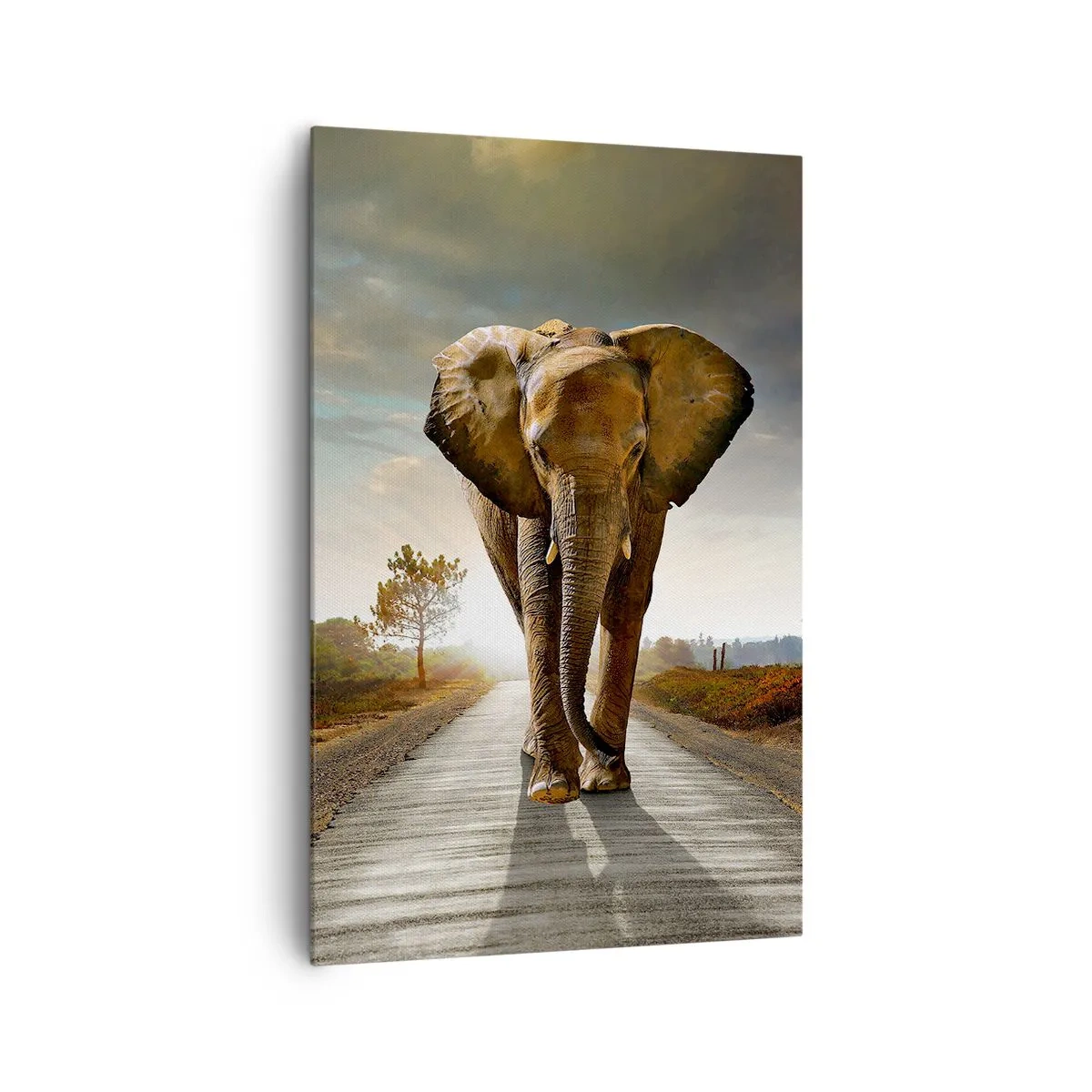 Quadro su tela - Stampe su Tela - Un elefante che cammina lungo una strada attraverso un paesaggio al tramonto - 80x120cm - E non nel negozio di cristalli - Decorazione murale moderna per soggiorno e camera da letto ARTTOR