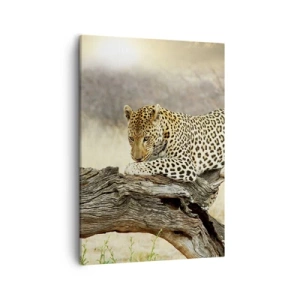 Quadro su tela - Stampe su Tela - Un leopardo che riposa sul tronco di un albero nella savana - 50x70cm - Vado per la mia strada - Decorazione murale moderna per soggiorno e camera da letto ARTTOR