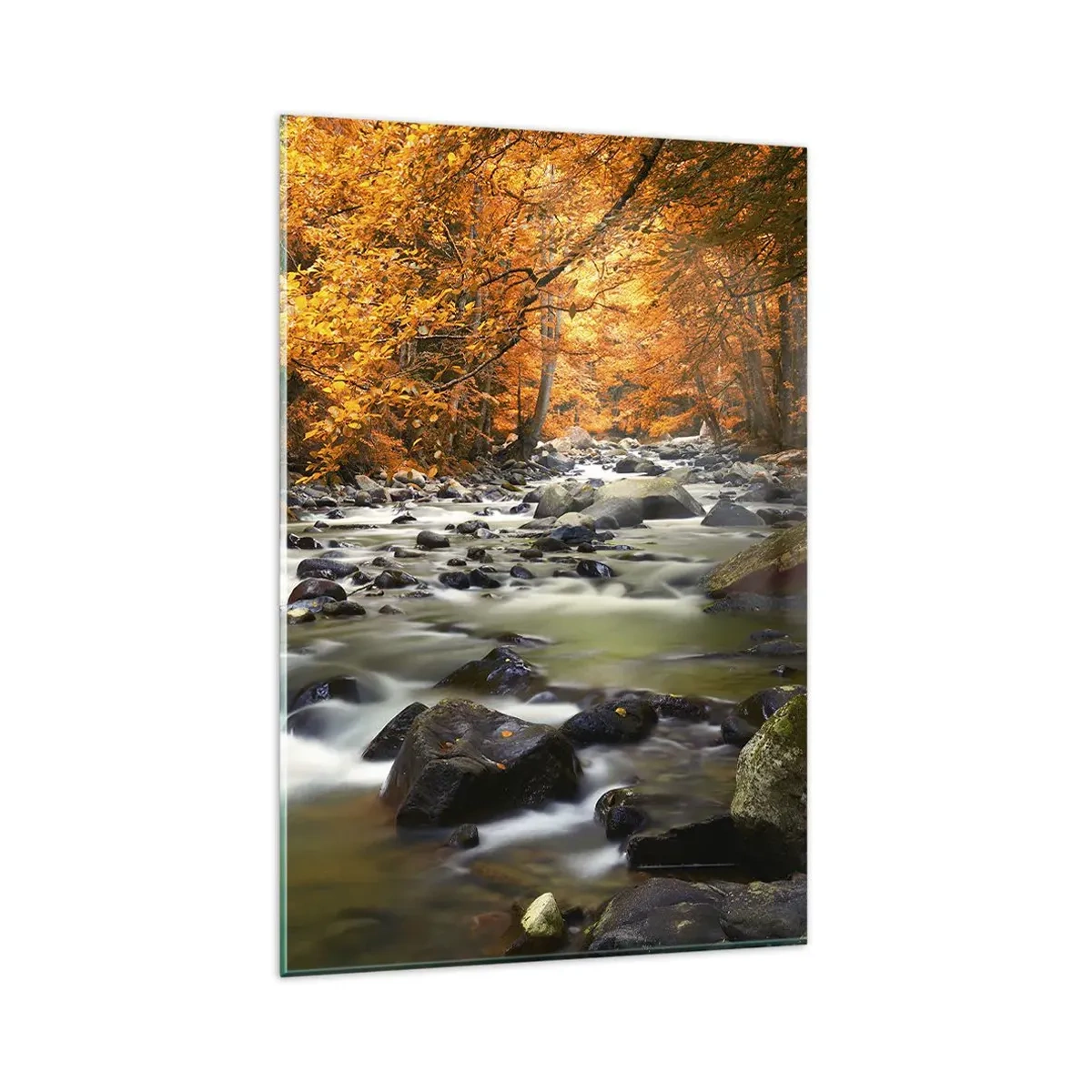 Quadro su vetro - Un ruscello in una foresta autunnale circondato da foglie dorate - 80x120cm - Ruscello nel bosco dorato - Decorazione murale moderna per soggiorno e camera da letto ARTTOR