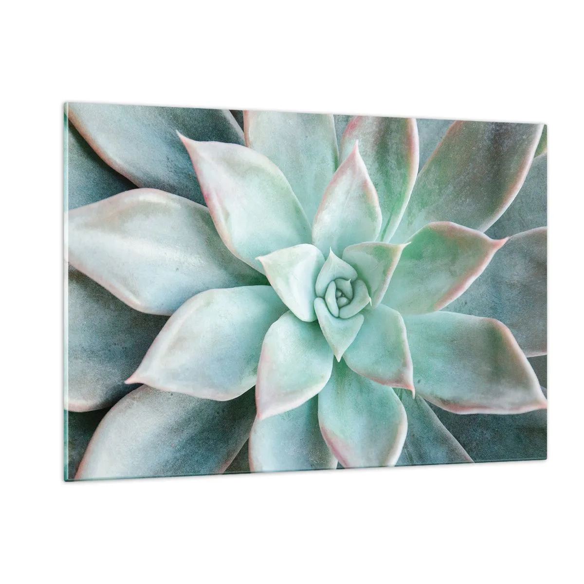 Quadro su vetro - Foglie succulente secche con una delicata tonalità grigio-verde - 120x80cm - Il cuore del deserto - Decorazione murale moderna per soggiorno e camera da letto ARTTOR