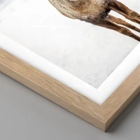 Rovere chiaro