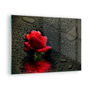 Quadro su vetro - Rosa rossa con gocce d'acqua su sfondo scuro - 70x50cm - Rosso e nero - Decorazione murale moderna per soggiorno e camera da letto ARTTOR