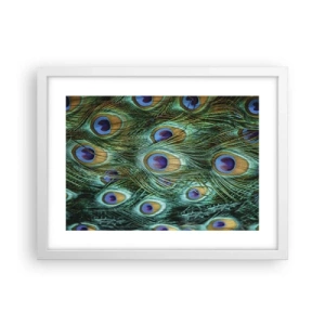 Poster in cornice bianca - Lo sguardo del pavone - 40x30 cm