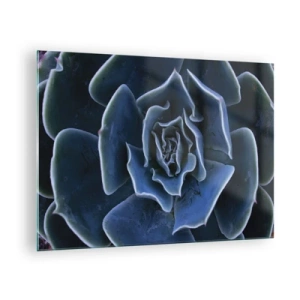 Quadro su vetro - Macrofotografia di una succulenta nelle tonalità del blu freddo - 70x50cm - Fiore del deserto - Decorazione murale moderna per soggiorno e camera da letto ARTTOR