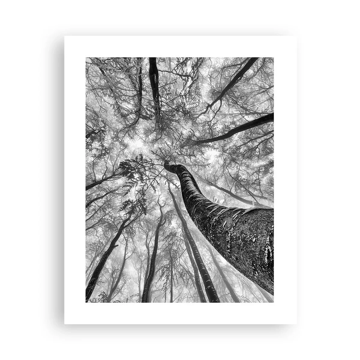 Poster - La corsa verso la luce - 40x50 cm