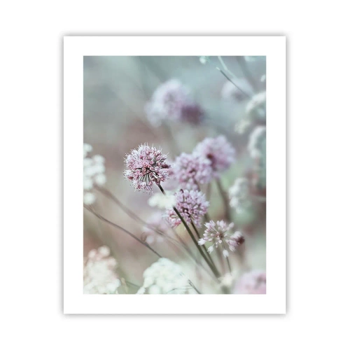 Poster - Le dolci filigrane delle erbe - 40x50 cm