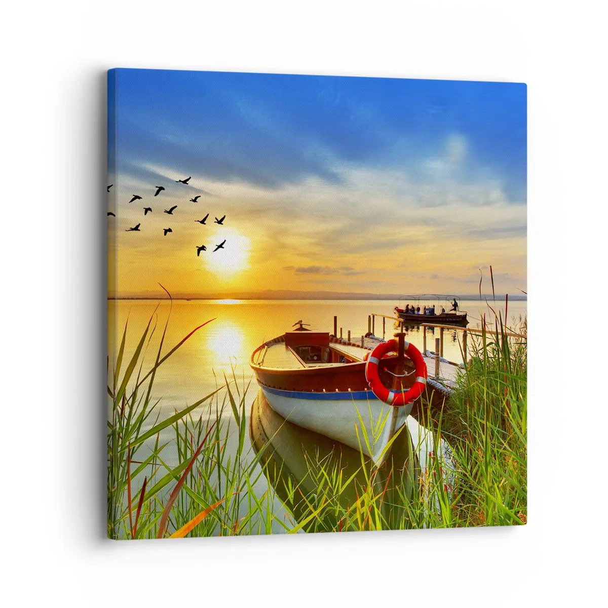 Quadro su tela - Stampe su Tela - I cormorano volano già via - 30x30 cm