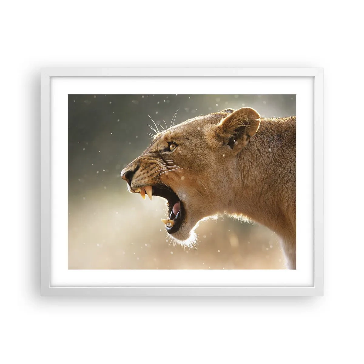 Poster in cornice bianca - Prova a non ascoltare - 50x40 cm