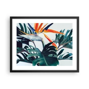 Poster in cornice nera - Pianta uccello - 50x40 cm