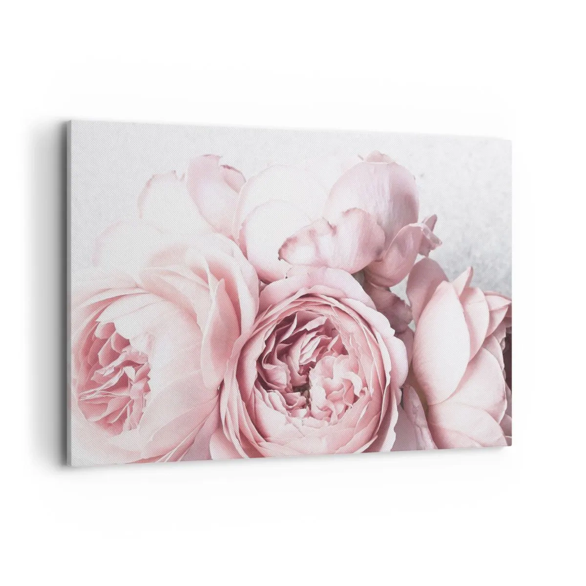Quadro su tela - Stampe su Tela - Peonie rosa in luce soffusa su uno sfondo chiaro - 120x80cm - Per i romantici - Decorazione murale moderna per soggiorno e camera da letto ARTTOR