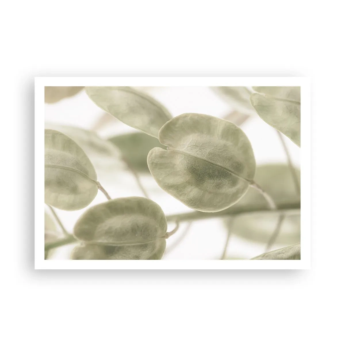 Poster - Un delicato dipinto di foglie in tonalità pastello di verde su uno sfondo chiaro. - 100x70cm - All'inizio vi erano le foglie... - Decorazione murale moderna per soggiorno e camera da letto ARTTOR