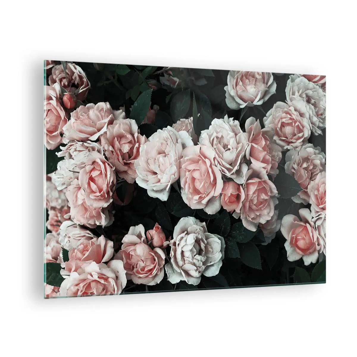 Quadro su vetro - Primo piano di un bouquet di rose rosa su uno sfondo scuro - 70x50cm - Composizione di rose - Decorazione murale moderna per soggiorno e camera da letto ARTTOR