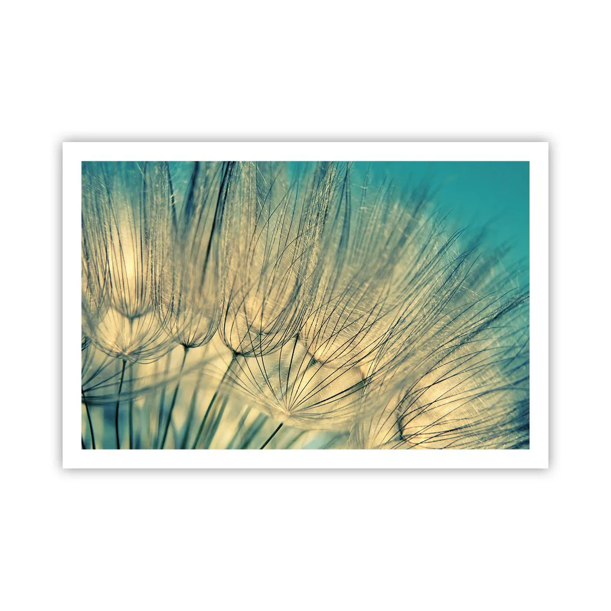 Poster - Aspettando il vento - 91x61 cm