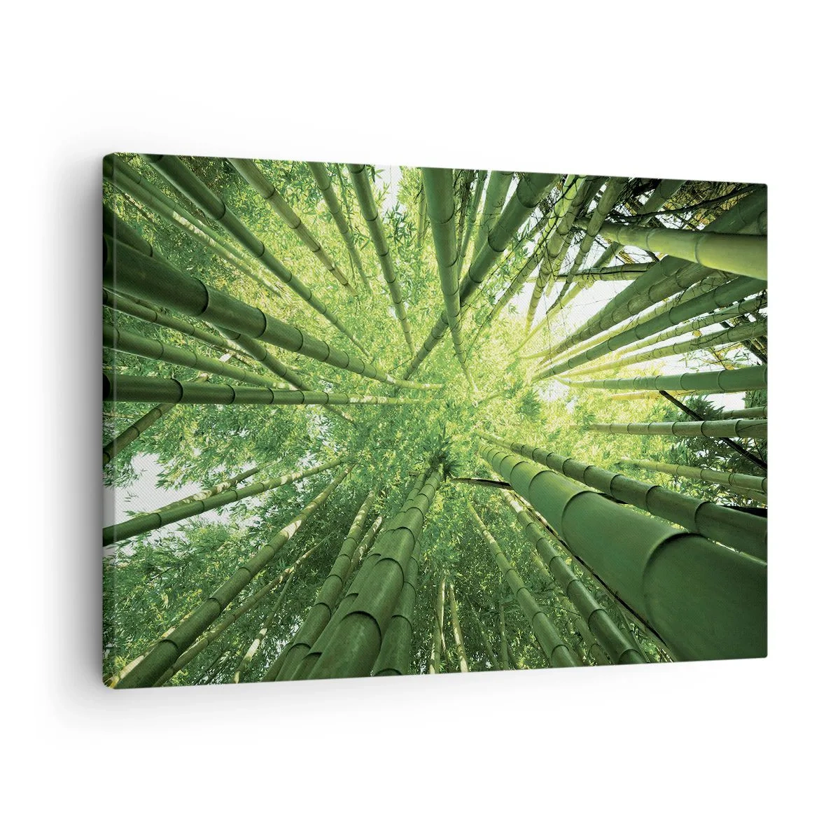 Quadro su tela - Stampe su Tela - Vista attraverso un boschetto di bambù verde - 70x50cm - Nella foresta di bambù - Decorazione murale moderna per soggiorno e camera da letto ARTTOR