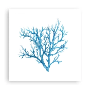 Poster - Filigrana marina - 50x50 cm