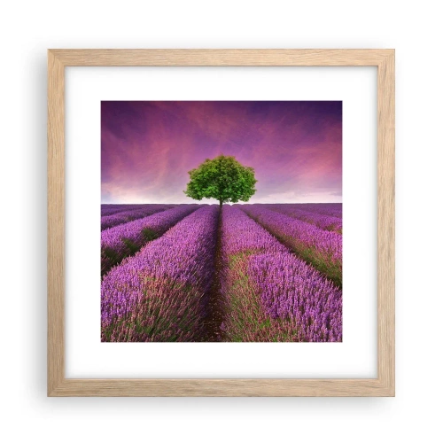 Poster in cornice rovere chiaro - Sui campi di lavanda - 30x30 cm