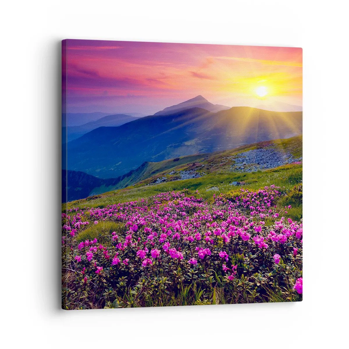 Quadro su tela - Stampe su Tela - Odore di mugo e profumo di erbe - 30x30 cm