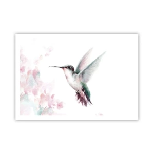 Poster - Un colibrì dai delicati colori pastello su uno sfondo di fiori - 100x70cm - Battito immobile - Decorazione murale moderna per soggiorno e camera da letto ARTTOR