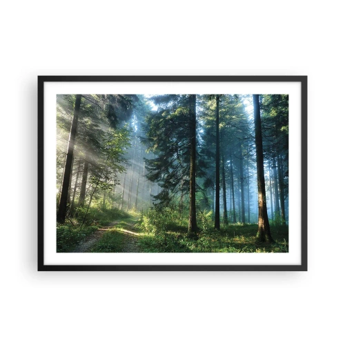 Poster in cornice nera - Un sentiero nel bosco illuminato dai raggi del sole mattutino - 70x50cm - Raggiante all'alba - Decorazione murale moderna per soggiorno e camera da letto ARTTOR