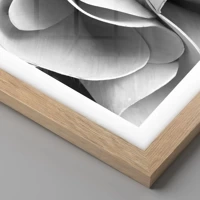 Rovere chiaro