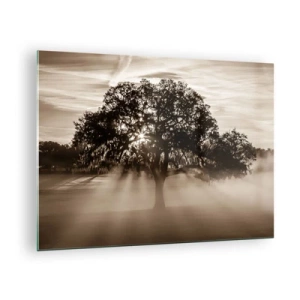 Quadro su vetro - Un albero nella nebbia mattutina con i raggi del sole che brillano attraverso i rami - 70x50cm - L'albero delle sole buone notizie - Decorazione murale moderna per soggiorno e camera da letto ARTTOR