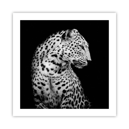 Poster - Profilo destro perfetto! - 50x50 cm