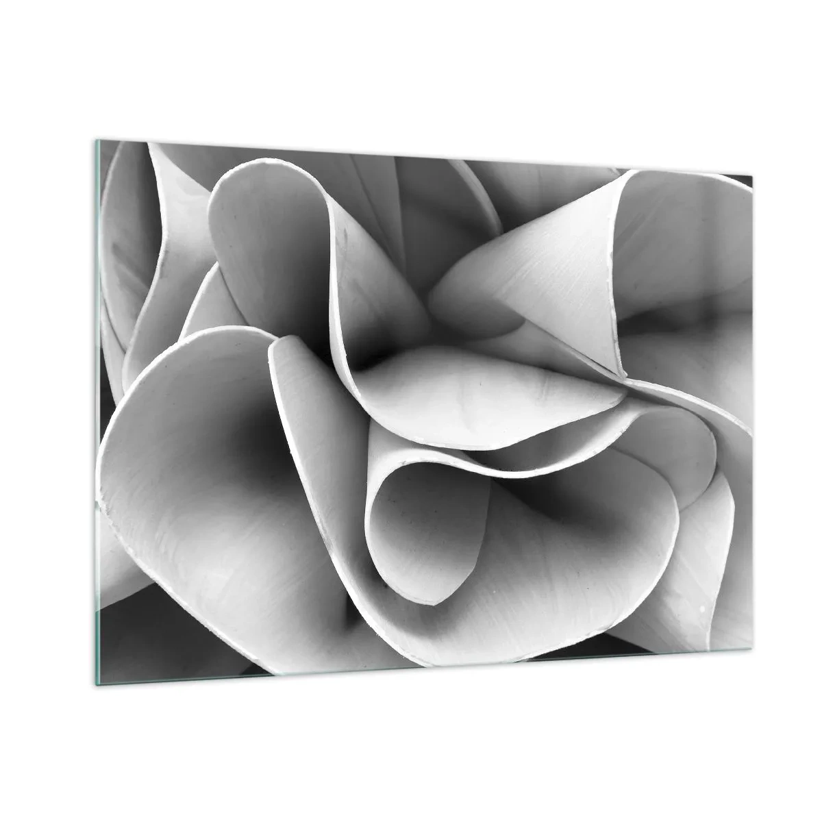 Quadro su vetro - Primo piano in bianco e nero di forme a spirale astratte - 100x70cm - Avviene nello spazio - Decorazione murale moderna per soggiorno e camera da letto ARTTOR