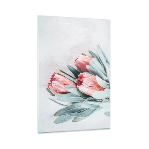 Quadro su vetro - Delicati fiori di protea rosa su uno sfondo chiaro - 80x120cm - Imbarazzati per la propria bellezza - Decorazione murale moderna per soggiorno e camera da letto ARTTOR