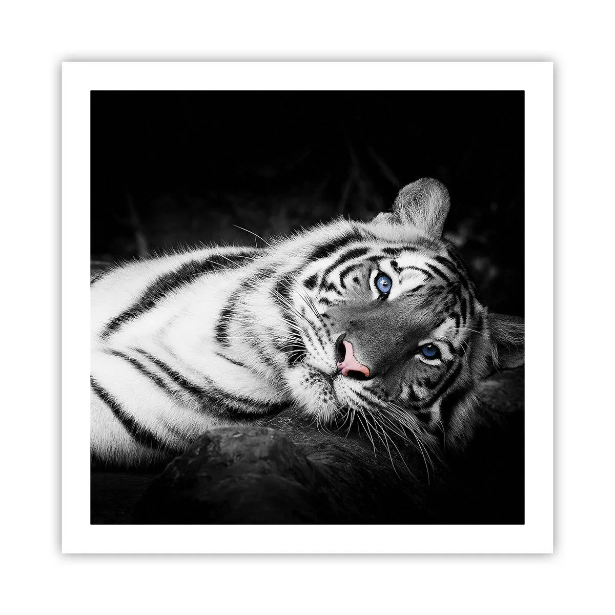 Poster - Selvaggità e pace - 60x60 cm