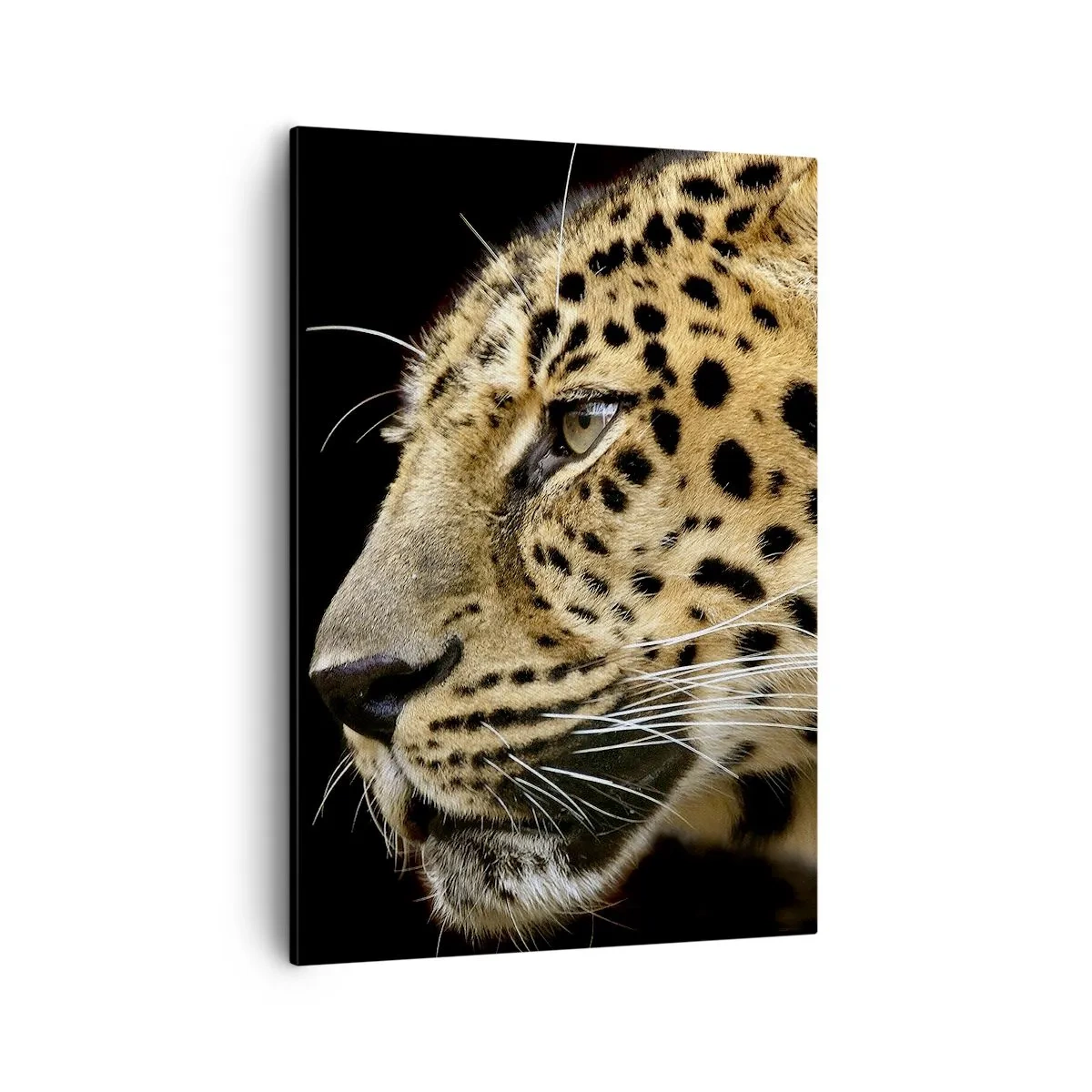 Quadro su tela - Stampe su Tela - Primo piano della testa di un leopardo su uno sfondo nero - 50x70cm - Calmo, concentrato, pronto - Decorazione murale moderna per soggiorno e camera da letto ARTTOR
