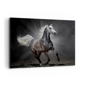Quadro su tela - Stampe su Tela - Un cavallo bianco al galoppo su uno sfondo scuro - 120x80cm - Grigio è bello - Decorazione murale moderna per soggiorno e camera da letto ARTTOR