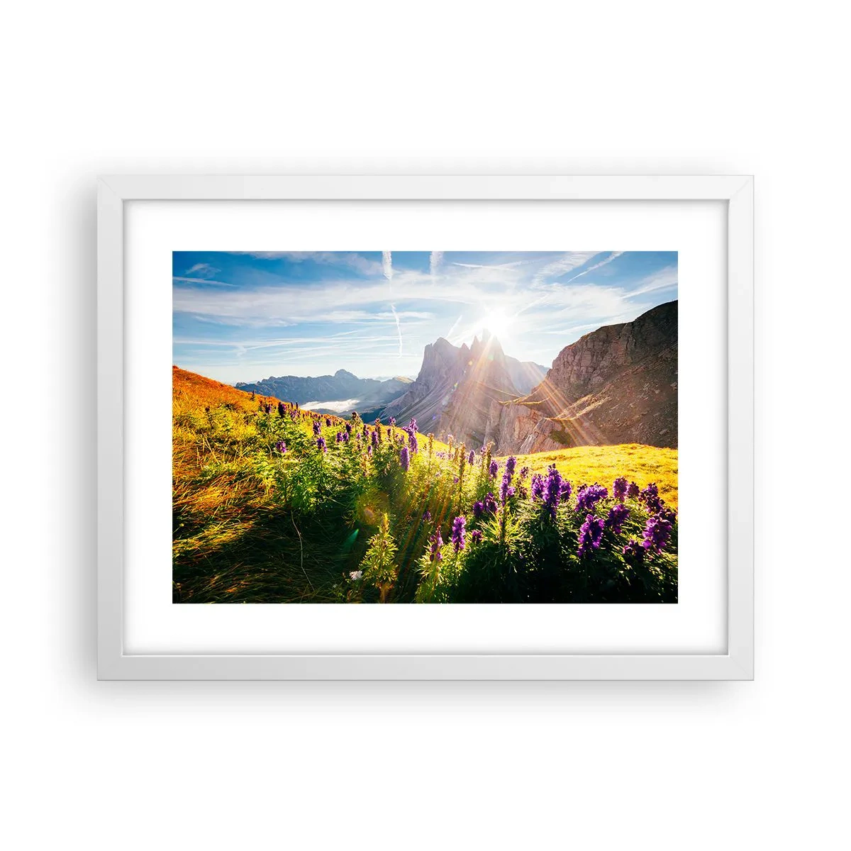 Poster in cornice bianca - La vita segreta delle erbe - 40x30 cm