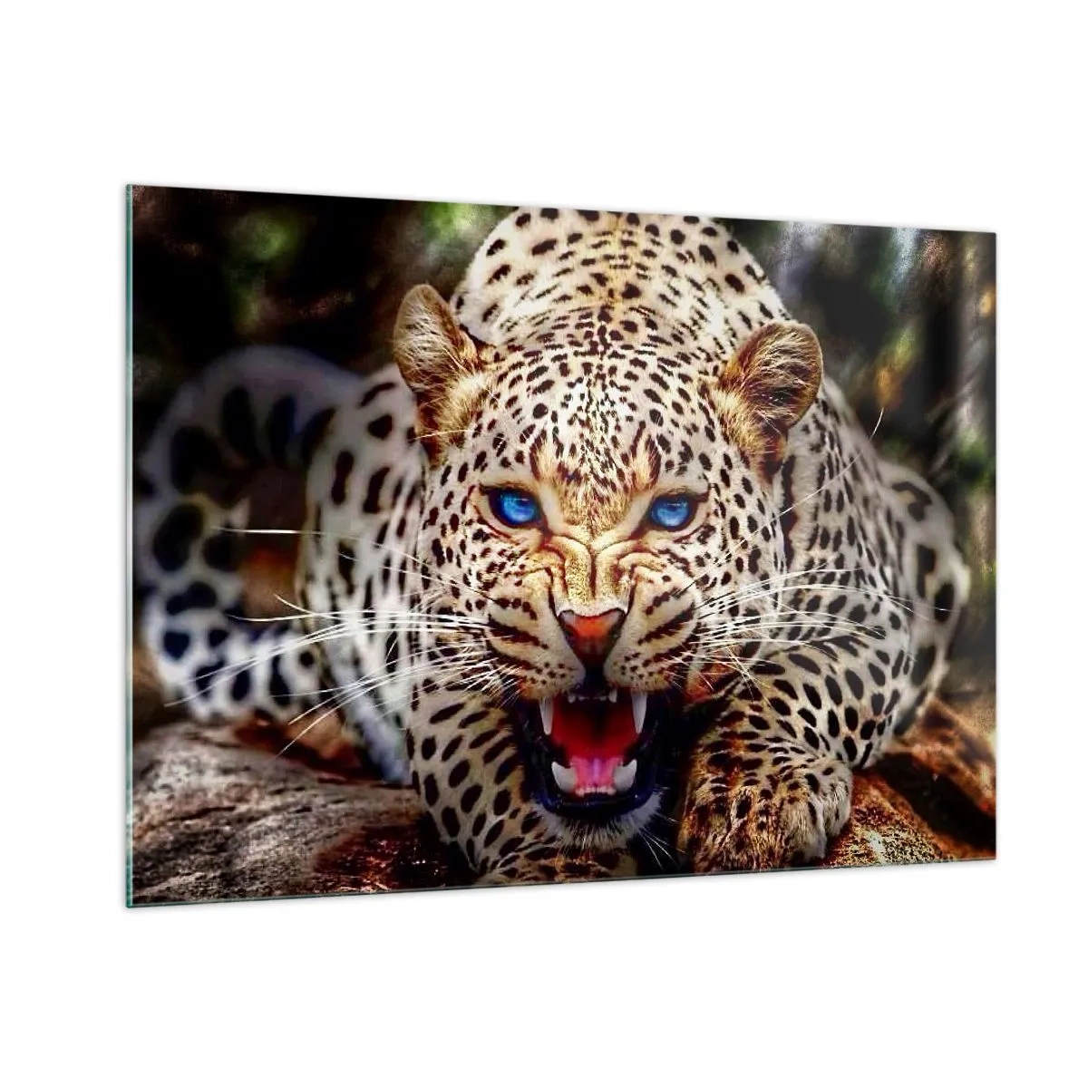 Quadro su vetro - Un feroce leopardo dagli occhi azzurri in natura - 100x70cm - La rabbia non rovina la bellezza - Decorazione murale moderna per soggiorno e camera da letto ARTTOR