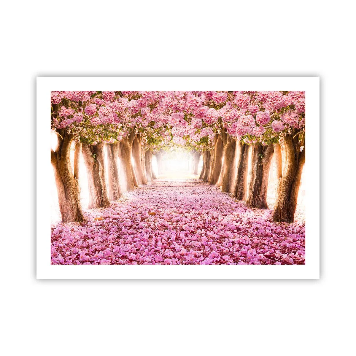 Poster - La strada verso il paradiso - 70x50 cm
