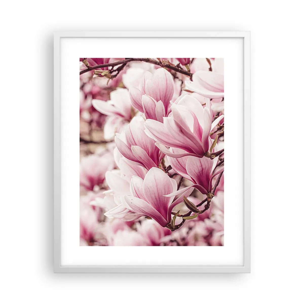 Poster in cornice bianca - La primavera è rosa - 40x50 cm