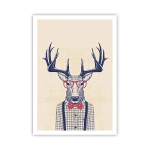 Poster - Divertente stravaganza - 70x100 cm